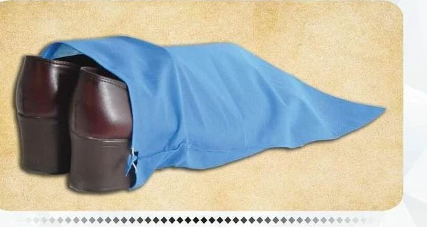 نمونه شوز بگ صدرا